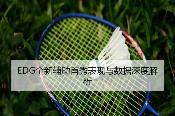 EDG全新辅助首秀表现与数据深度解析 - yabo